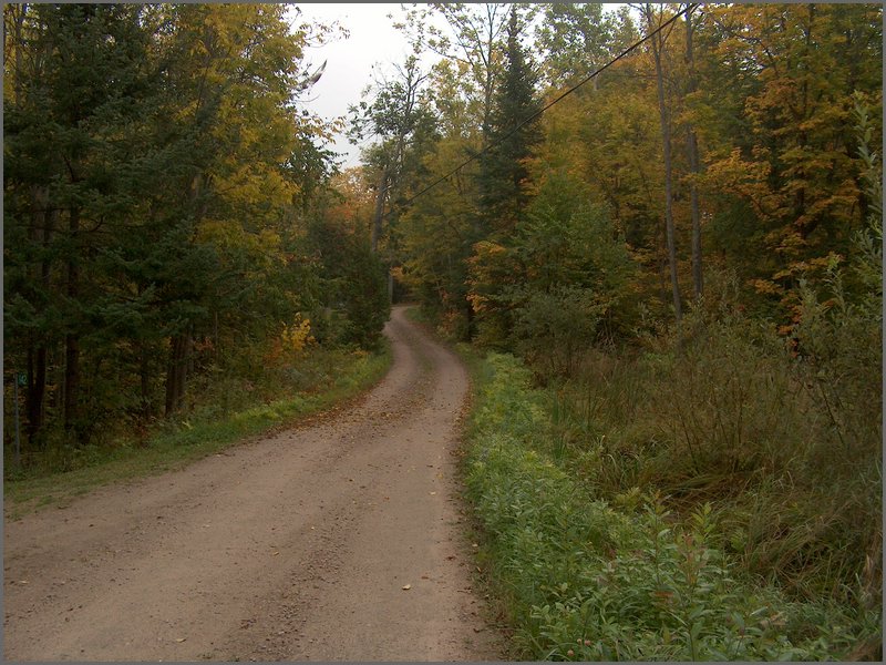 Wolfe Lake 2006i.jpg