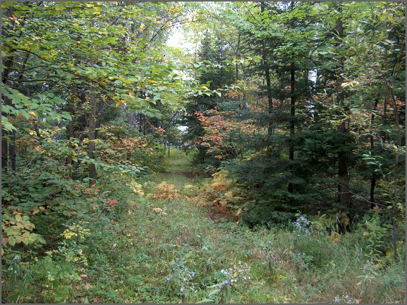 Wolfe Lake 2006k.jpg