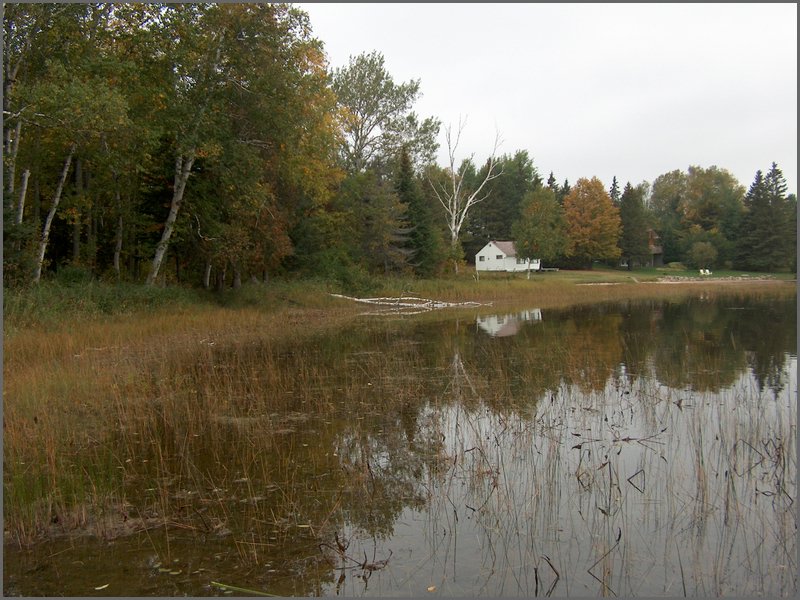 Wolfe Lake 2006m.jpg