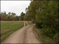 Mud Lake 2006b.jpg