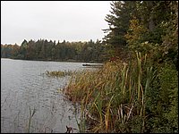 Mud Lake 2006e.jpg