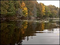 Mud Lake 2006x.jpg