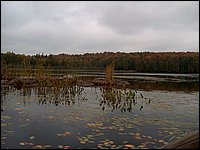 Mud Lake Island f.jpg