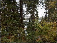 Mud Lake2006b.jpg