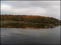 Mud Lake2006f.jpg