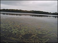 Mud Lake2006h.jpg