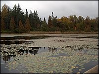 Mud Lake2006l.jpg