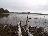 Wolfe Lake 2006o.jpg