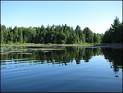 IMG_9341.JPG