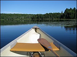 IMG_9342.JPG
