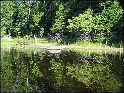 IMG_9356.JPG