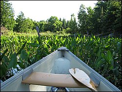 IMG_9358.JPG