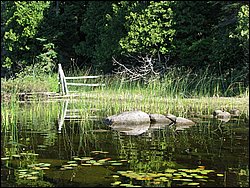 IMG_9367.JPG