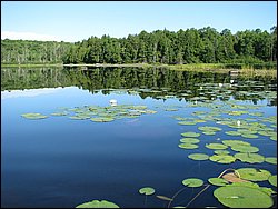 IMG_9370.JPG