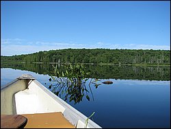 IMG_9371.JPG