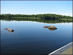 IMG_9372.JPG