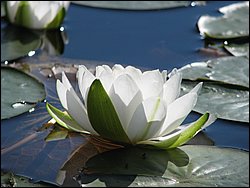IMG_9377.JPG