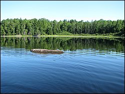 IMG_9379.JPG