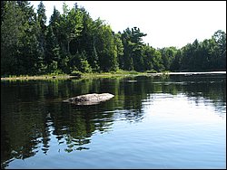 IMG_9383.JPG