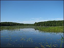 IMG_9386.JPG