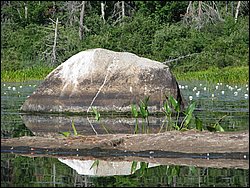 IMG_9392.JPG