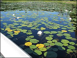 IMG_9399.JPG