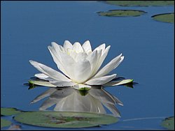 IMG_9402.JPG