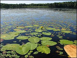 IMG_9414.JPG