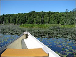 IMG_9420.JPG