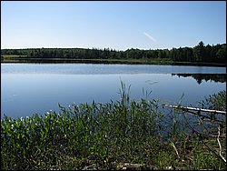 IMG_9437.JPG