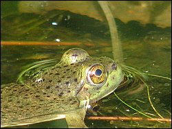 IMG_9449.JPG