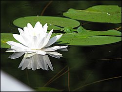 IMG_9458.JPG