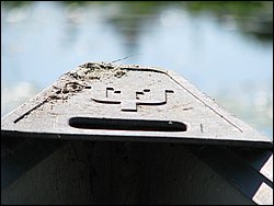 IMG_9467.JPG