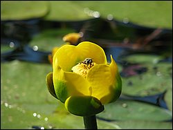 IMG_9469.JPG