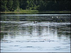 IMG_9474.JPG