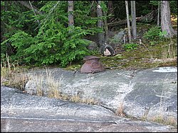 IMG_9478.JPG