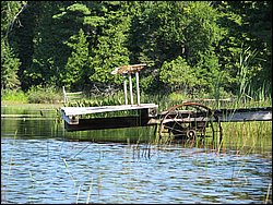 IMG_9503.JPG
