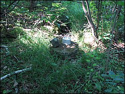 IMG_9508.JPG