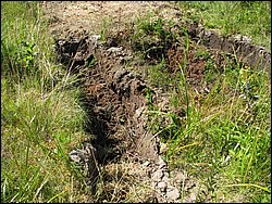 IMG_9518.JPG