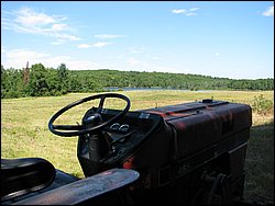 IMG_9524.JPG