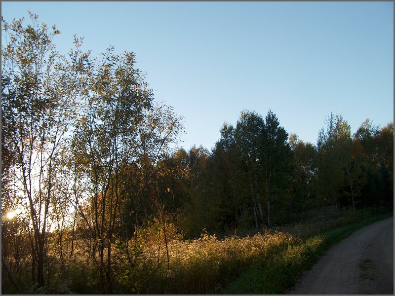 Hpim2799.jpg