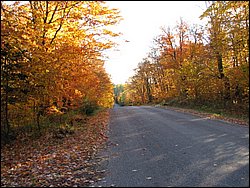 IMG_1715_resize.JPG