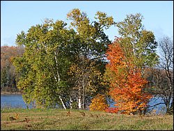 IMG_1860_resize.JPG