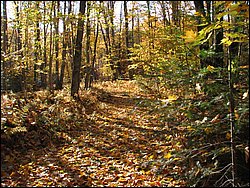 IMG_1908_resize.JPG