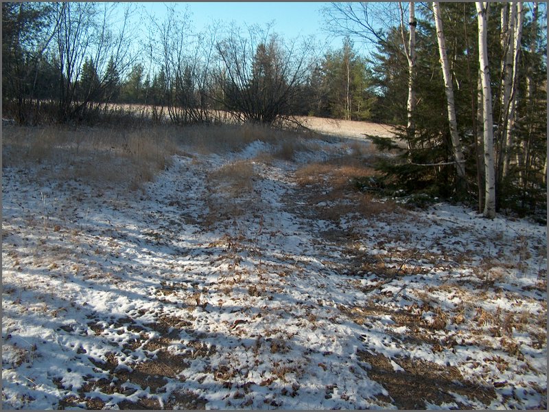 November 2007_04.jpg