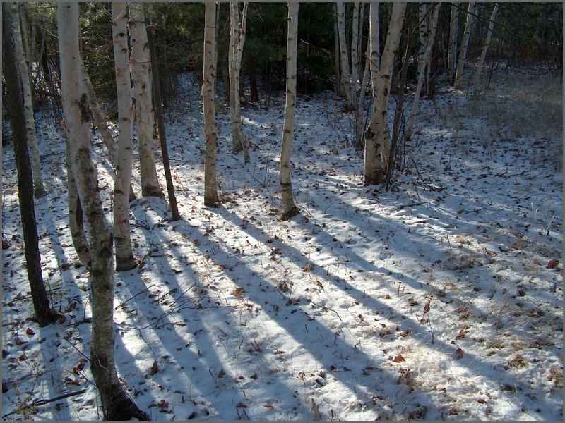 November 2007_05.jpg