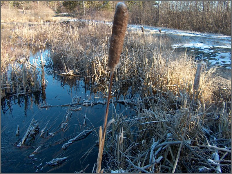November 2007_24.jpg