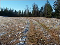 November 2007_06.jpg