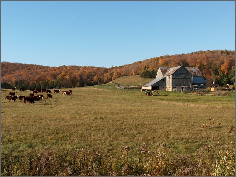 October 2006 04.JPG