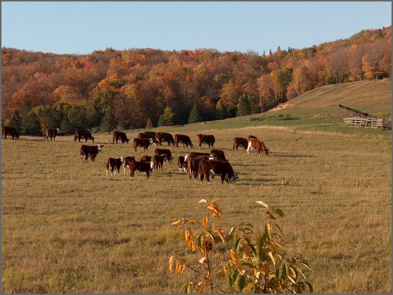 October 2006 05.JPG